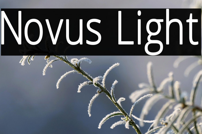 Novus Light Example 3