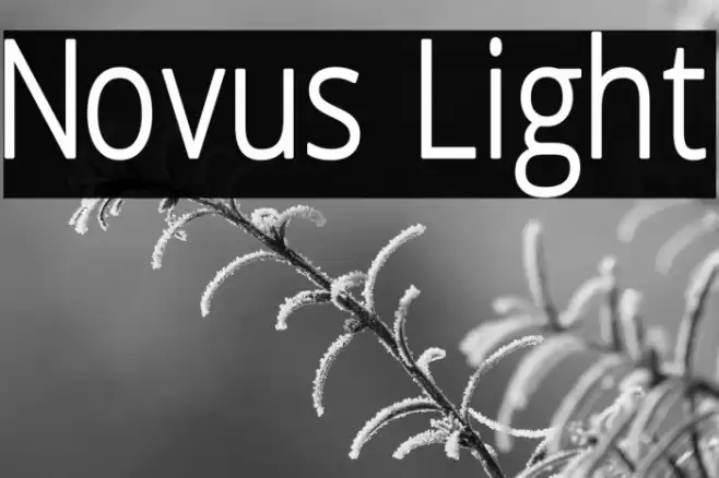 Novus Light Font examples