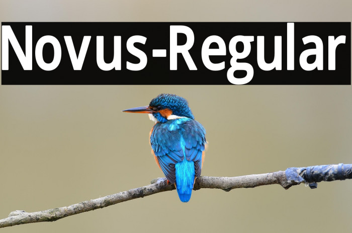 Novus-Regular Example 1