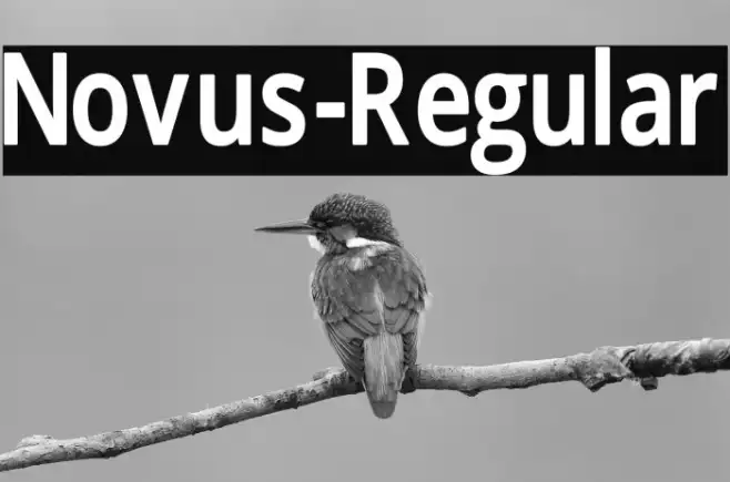 Novus-Regular Example 1