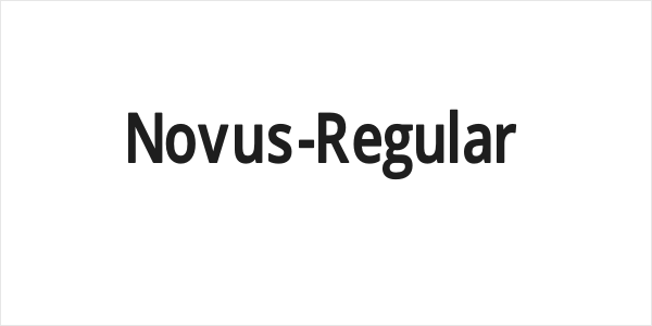 Novus-Regular Logo