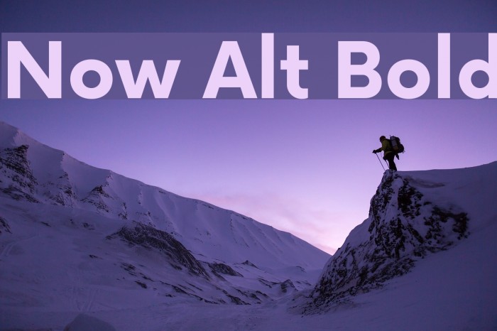 Now Alt Bold Font examples