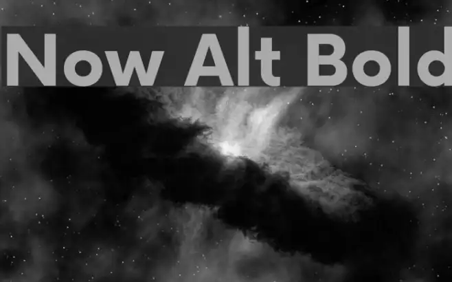 Now Alt Bold Example 3
