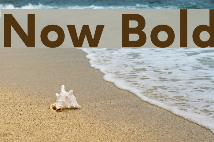 Now Bold Font examples