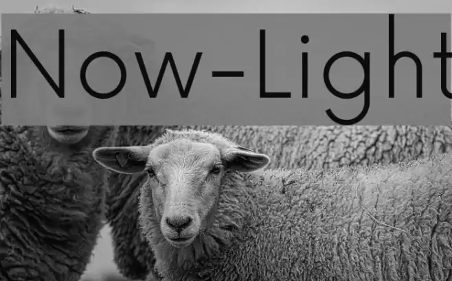 Now-Light Font examples