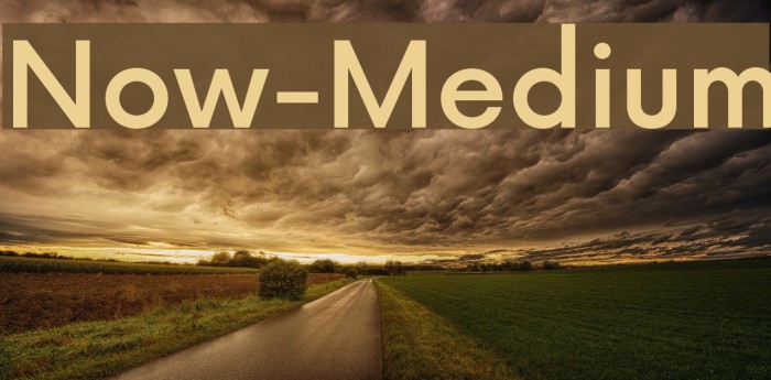 Now-Medium Font examples