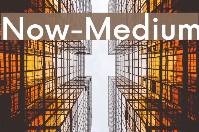 Now-Medium Font examples