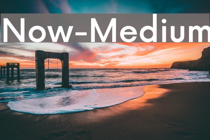 Now-Medium Font examples