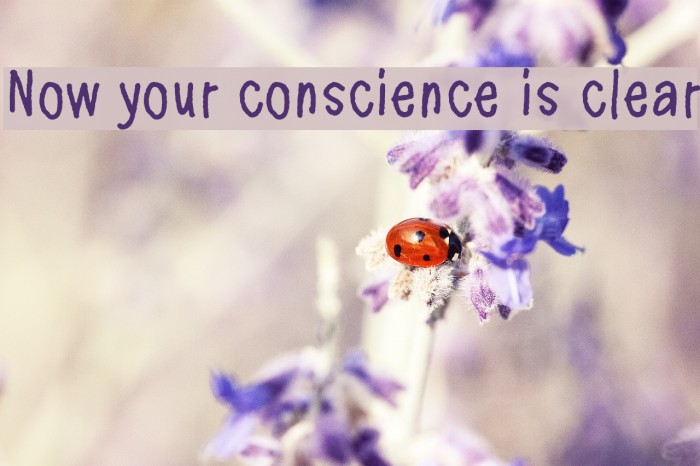 Now your conscience is clear Schriftart examples