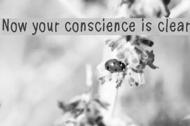 Now your conscience is clear フォント examples