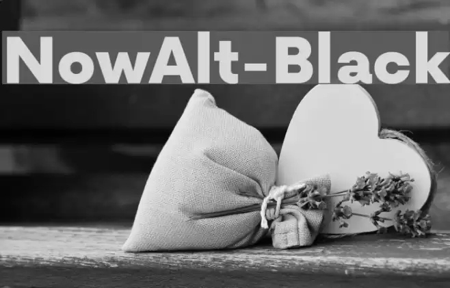 NowAlt-Black Font examples