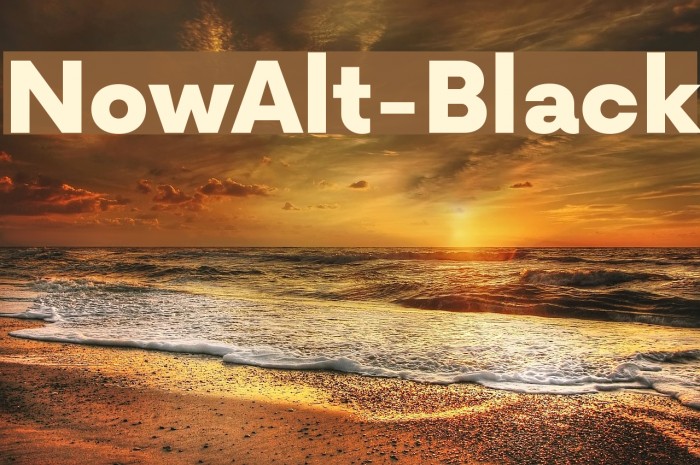 NowAlt-Black Font examples