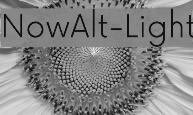 NowAlt-Light Example 1