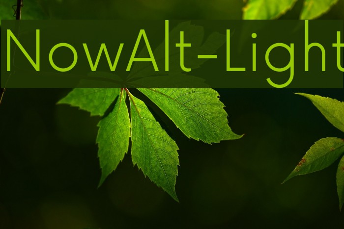 NowAlt-Light Font examples
