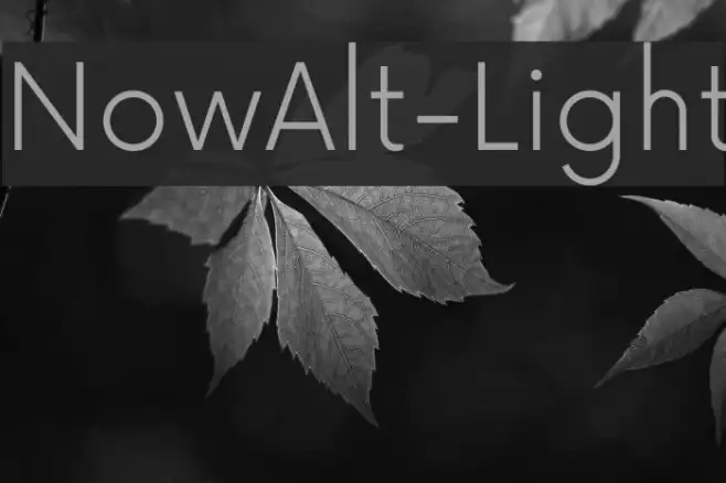 NowAlt-Light Example 2