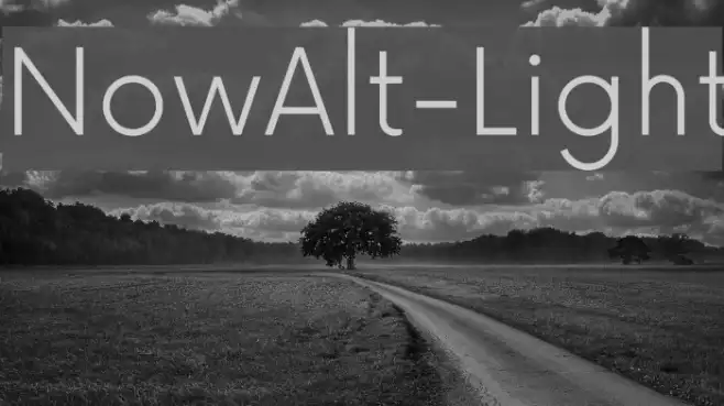 NowAlt-Light Example 3