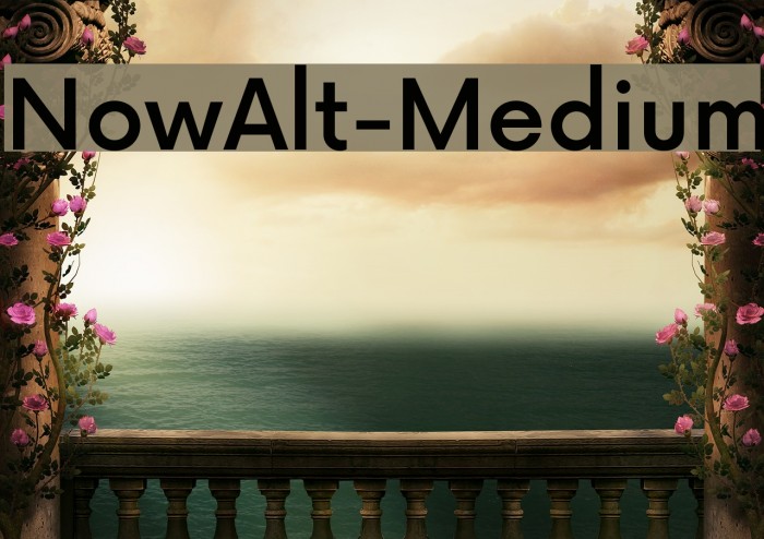NowAlt-Medium Fonte examples