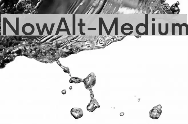 NowAlt-Medium Font examples