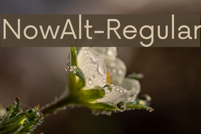 NowAlt-Regular Example 2