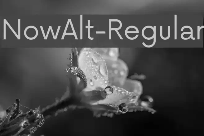 NowAlt-Regular Font examples