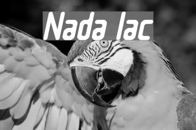 Nowadays Italic Font examples