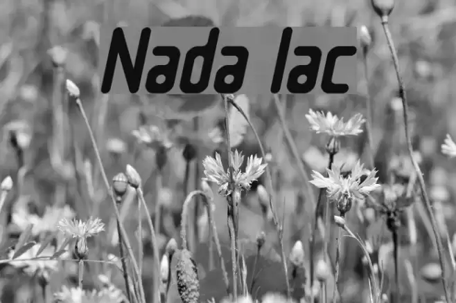 Nowadays Italic Font examples