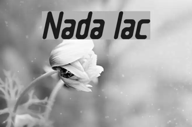 Nowadays Italic Font examples