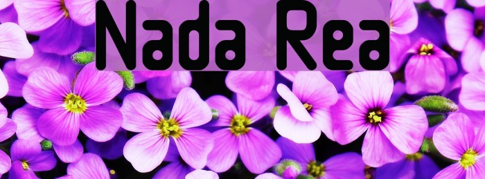 Nowadays Regular Font examples