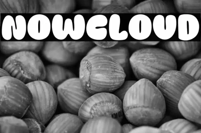 Nowcloud Polices examples