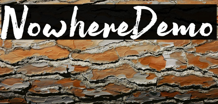 NowhereDemo Example 1