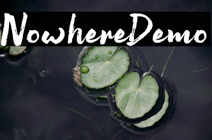 NowhereDemo Example 3