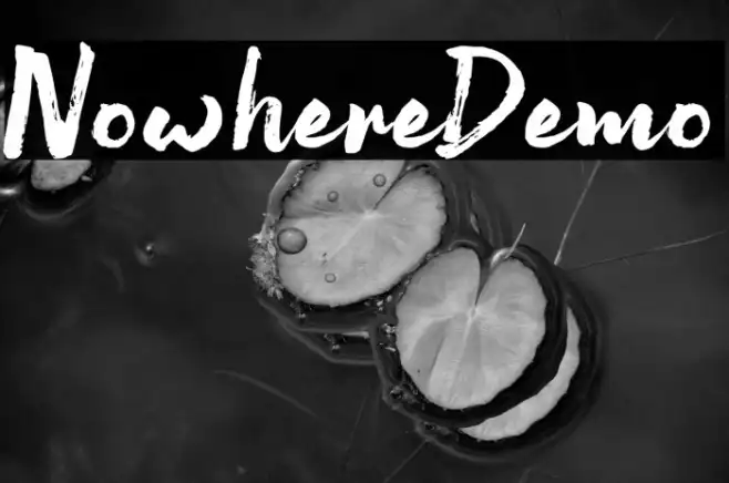 NowhereDemo Example 3