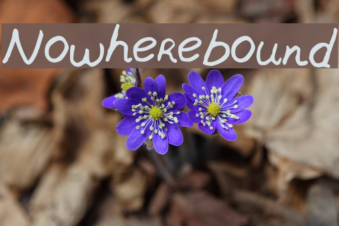 Nowherebound Font examples
