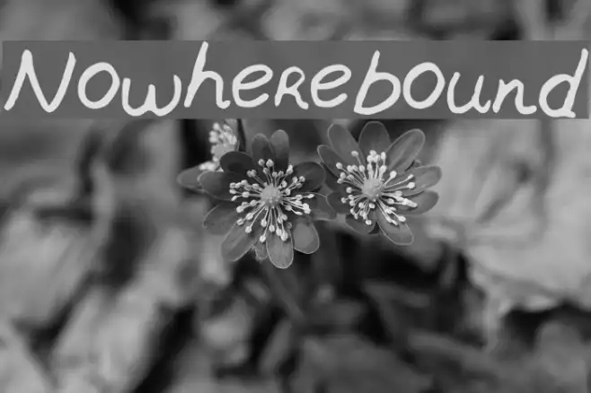 Nowherebound Example 3