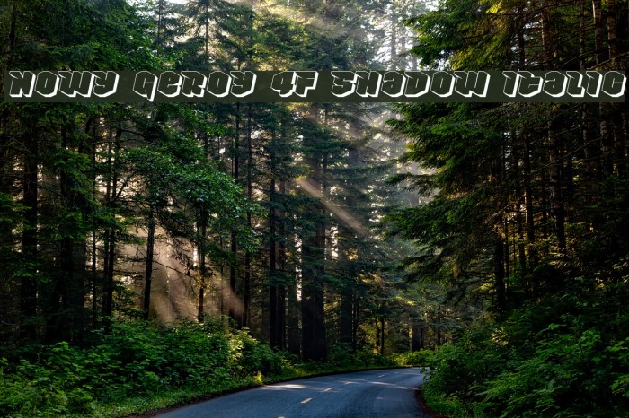 Nowy Geroy 4F Shadow Italic Font examples