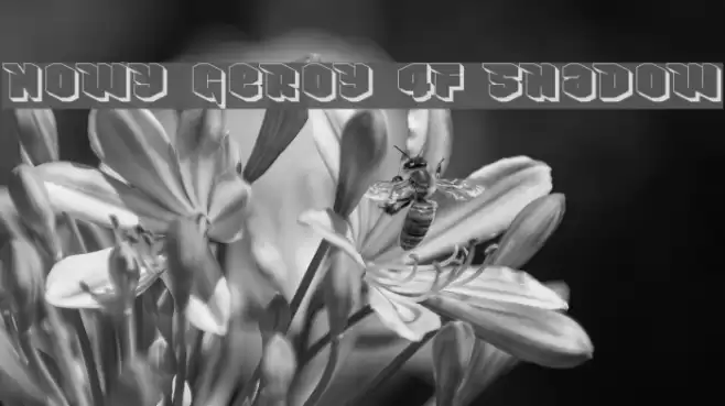 Nowy Geroy 4F Shadow Font examples