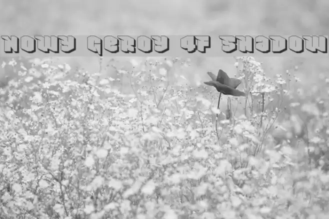 Nowy Geroy 4F Shadow Font examples