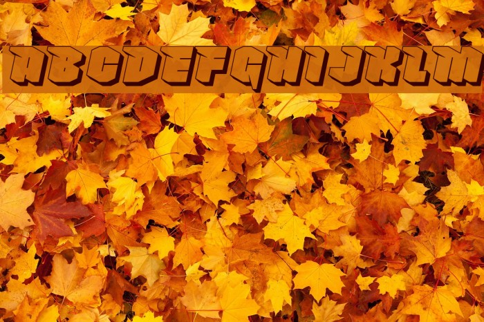 NowyGeroy4FShadow-Italic Fonte examples