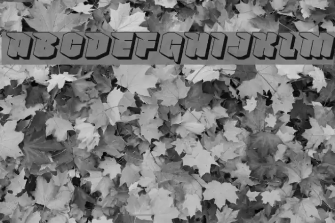 NowyGeroy4FShadow-Italic Font examples