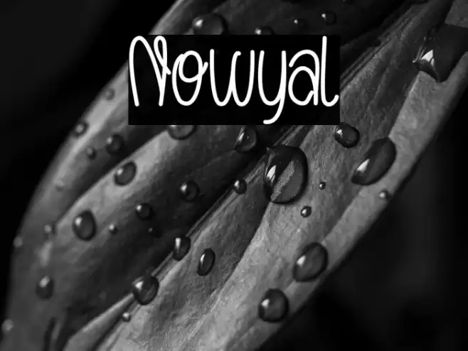 Nowyal Font examples