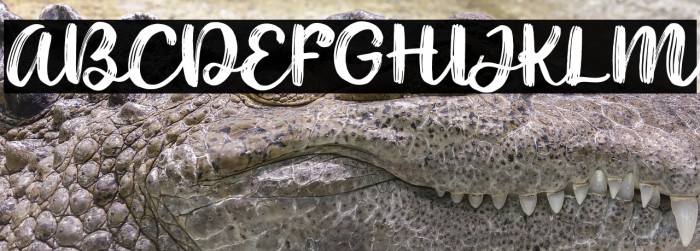 Noyram Demo Example 1