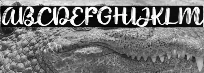 Noyram Demo Font examples