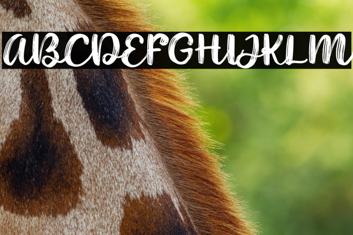 Noyram Demo Example 3