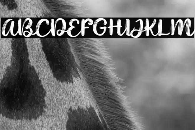 Noyram Demo Font examples