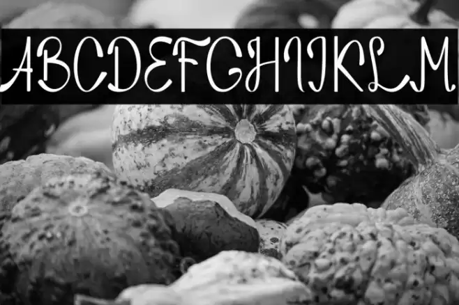 Nozomi Font examples