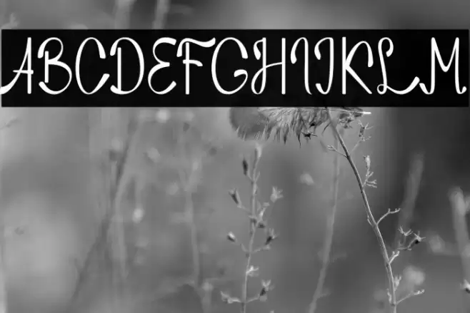 Nozomi Font examples