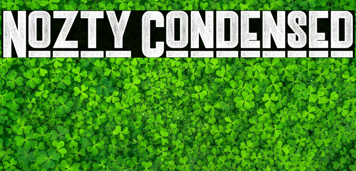 Nozty Condensed Example 1
