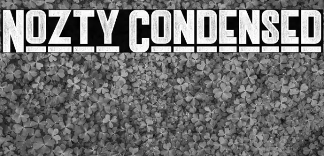 Nozty Condensed Example 1