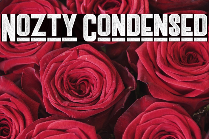 Nozty Condensed Example 2