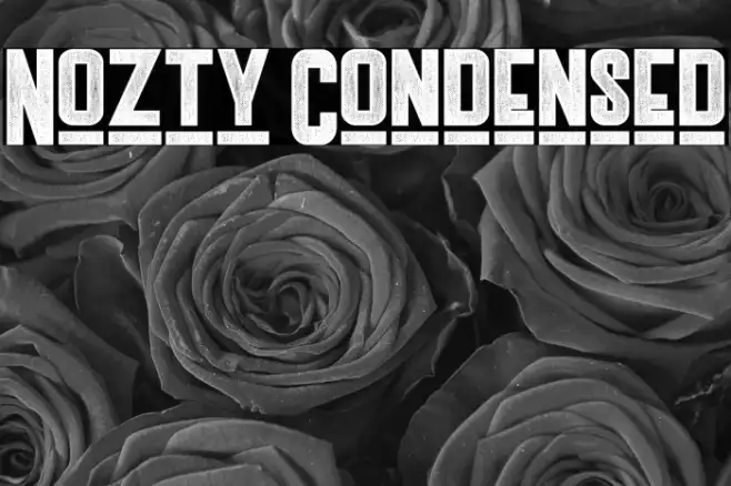Nozty Condensed Example 2